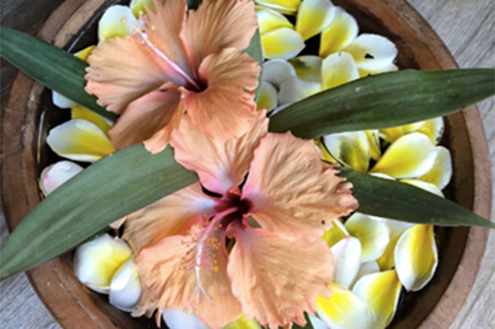 17-BUENAVIADA-FLOWERS